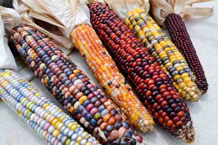 How to cook corn indian style