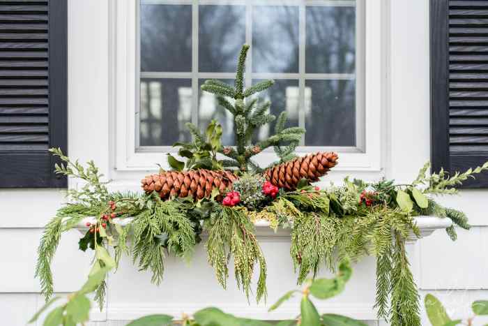 Window christmas boxes